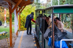 Kontrola cestujících.
